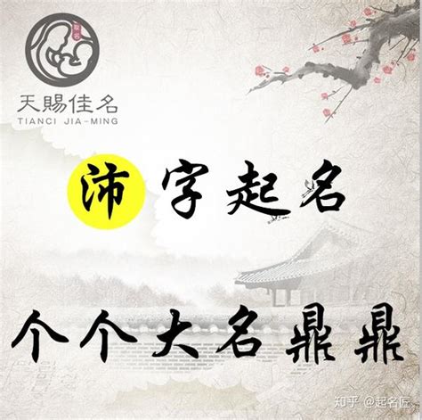 沛意思名字|沛字組名：好聽有內涵